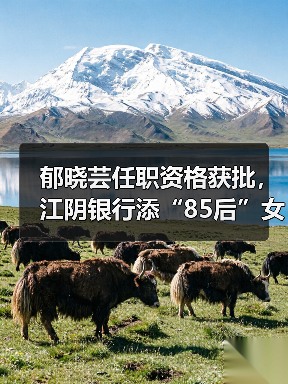郁晓芸任职资格获批,江阴银行添“85后”女副行长(图3) 郁晓芸任职资格获批,江阴银行添“85后”女副行长(图3)