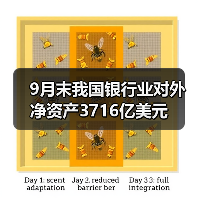 9月末我国银行业对外净资产3716亿美元(图2) 9月末我国银行业对外净资产3716亿美元(图2)
