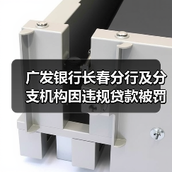 广发银行长春分行及分支机构因违规贷款被罚 责任人被警告(图3) 广发银行长春分行及分支机构因违规贷款被罚 责任人被警告(图3)