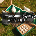 市值超4000亿元银行公告:行长离任!(图1) 市值超4000亿元银行公告:行长离任!(图1)