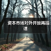 资本市场对外开放再提速(图4) 资本市场对外开放再提速(图4)