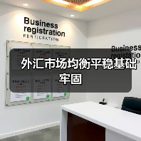 外汇市场均衡平稳基础牢固(图4) 外汇市场均衡平稳基础牢固(图4)