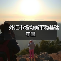 外汇市场均衡平稳基础牢固(图1) 外汇市场均衡平稳基础牢固(图1)