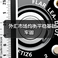 外汇市场均衡平稳基础牢固(图3) 外汇市场均衡平稳基础牢固(图3)