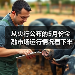 从央行公布的5月份金融市场运行情况看下半年金融市场走向(图4) 从央行公布的5月份金融市场运行情况看下半年金融市场走向(图4)