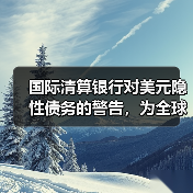 国际清算银行对美元隐性债务的警告,为全球金融市场敲响警钟!(图2) 国际清算银行对美元隐性债务的警告,为全球金融市场敲响警钟!(图2)