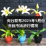 央行发布2025年5月份金融市场运行情况(图3) 央行发布2025年5月份金融市场运行情况(图3)