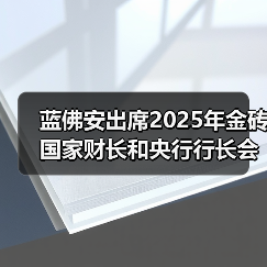 蓝佛安出席2025年金砖国家财长和央行行长会议（图3）