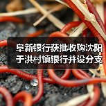 阜新银行获批收购沈阳于洪村镇银行并设分支机构(图4) 阜新银行获批收购沈阳于洪村镇银行并设分支机构(图4)