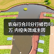 农商行合川分行被罚80万 内控失效成主因（图2）