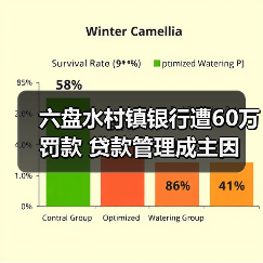 六盘水村镇银行遭60万罚款 贷款管理成主因（图1）