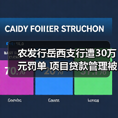 农发行岳西支行遭30万元罚单 项目贷款管理被指不规范(图4) 农发行岳西支行遭30万元罚单 项目贷款管理被指不规范(图4)
