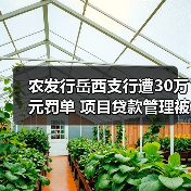 农发行岳西支行遭30万元罚单 项目贷款管理被指不规范(图3) 农发行岳西支行遭30万元罚单 项目贷款管理被指不规范(图3)