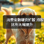 消费金融增资扩股 持股比例大幅提升（图1）