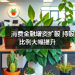 消费金融增资扩股 持股比例大幅提升（图4）