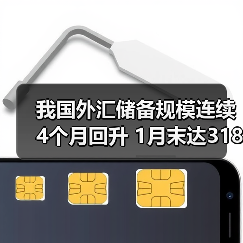 我国外汇储备规模连续4个月回升 1月末达31845亿美元(图3) 我国外汇储备规模连续4个月回升 1月末达31845亿美元(图3)
