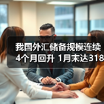 我国外汇储备规模连续4个月回升 1月末达31845亿美元(图4) 我国外汇储备规模连续4个月回升 1月末达31845亿美元(图4)