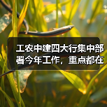 工农中建四大行集中部署今年工作,重点都在哪里?(图1) 工农中建四大行集中部署今年工作,重点都在哪里?(图1)