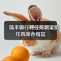 瑞丰银行聘任陈钢梁担任首席合规官（图1）