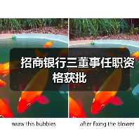 招商银行三董事任职资格获批（图4）