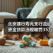 北京银行寿光支行流动资金贷款违规被罚35万行长助理遭警告(图2) 北京银行寿光支行流动资金贷款违规被罚35万行长助理遭警告(图2)