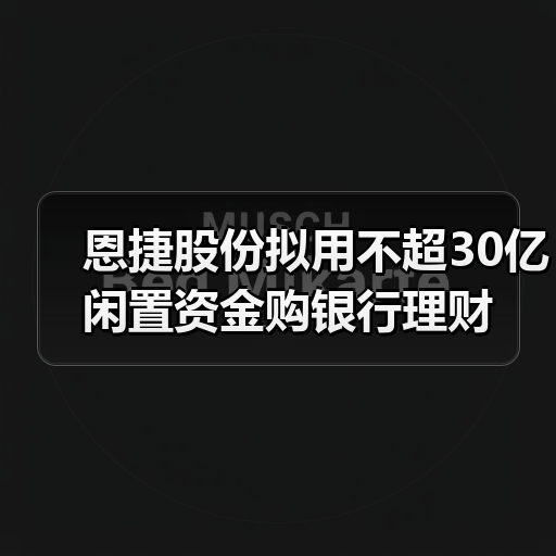 恩捷股份拟用不超30亿闲置资金购银行理财（图4）
