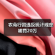 农商行因违反统计规定被罚20万（图1）