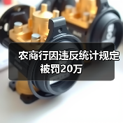 农商行因违反统计规定被罚20万（图4）
