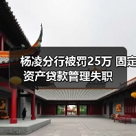杨凌分行被罚25万 固定资产贷款管理失职（图4）