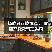 杨凌分行被罚25万 固定资产贷款管理失职（图2）