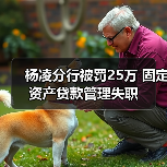 杨凌分行被罚25万 固定资产贷款管理失职（图1）