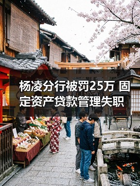 杨凌分行被罚25万 固定资产贷款管理失职（图3）