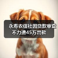 永寿农信社因贷款审查不力遭45万罚款（图4）