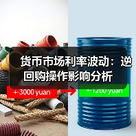 货币市场利率波动：逆回购操作影响分析（图4）
