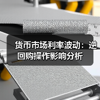 货币市场利率波动：逆回购操作影响分析（图3）