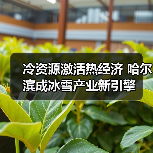冷资源激活热经济 哈尔滨成冰雪产业新引擎（图3）