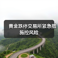 黄金跌停交易所紧急措施控风险(图3) 黄金跌停交易所紧急措施控风险(图3)