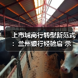 上市城商行转型新范式:兰州银行经验启 示(图3) 上市城商行转型新范式:兰州银行经验启 示(图3)