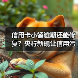 信用卡小额逾期还能修复？央行新规让信用污点消失（图4）