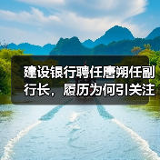 建设银行聘任唐朔任副行长，履历为何引关注？（图1）