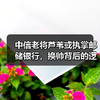 中信老将芦苇或执掌邮储银行,换帅背后的逻辑解析(图1) 中信老将芦苇或执掌邮储银行,换帅背后的逻辑解析(图1)
