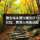 雅安商业银行增资近10亿股，国资入局推动股权优化（图4）