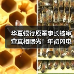 华夏银行原董事长被审查真相曝光！年初闪电辞职引多方猜测（图1）