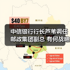 中信银行行长芦苇调任邮政集团副总 有何战略布局？（图1）