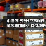 中信银行行长芦苇调任邮政集团副总 有何战略布局？（图3）
