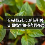 浙商银行行长新任引关注 吕临华接棒有何布局？（图3）