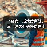 “瘦身”成大势所趋，又一家大行关停信用卡App（图2）