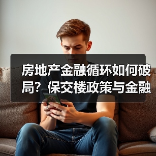 房地产金融循环如何破局?保交楼政策与金融安全(图2) 房地产金融循环如何破局?保交楼政策与金融安全(图2)