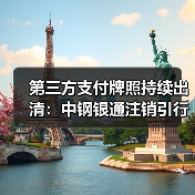 第三方支付牌照持续出清:中钢银通注销引行业洗牌(图3) 第三方支付牌照持续出清:中钢银通注销引行业洗牌(图3)