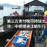 第三方支付牌照持续出清:中钢银通注销引行业洗牌(图4) 第三方支付牌照持续出清:中钢银通注销引行业洗牌(图4)